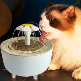 Cat Water Fountain Auto Filter Transparent Cat Drinker