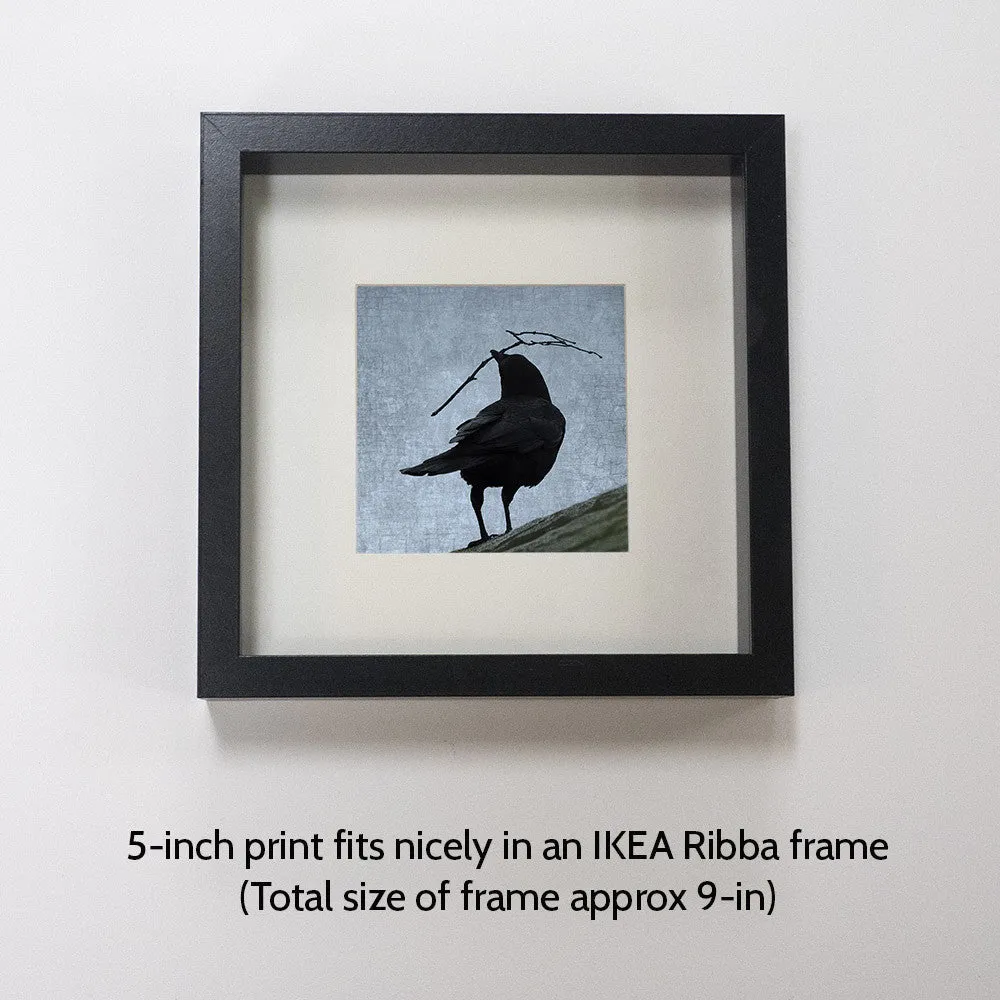 NEST - Fine Art Print, Blue Crow Series